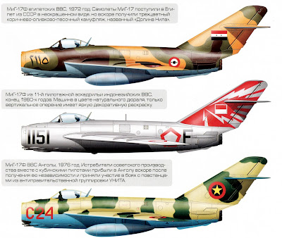Окраска МиГ-17