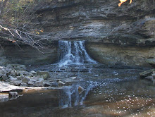 McCormick's Creek Falls