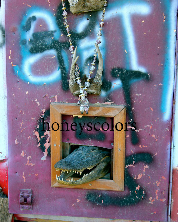 Honey's Treasures Cricket's Bait Shop Krotz, Louisiana