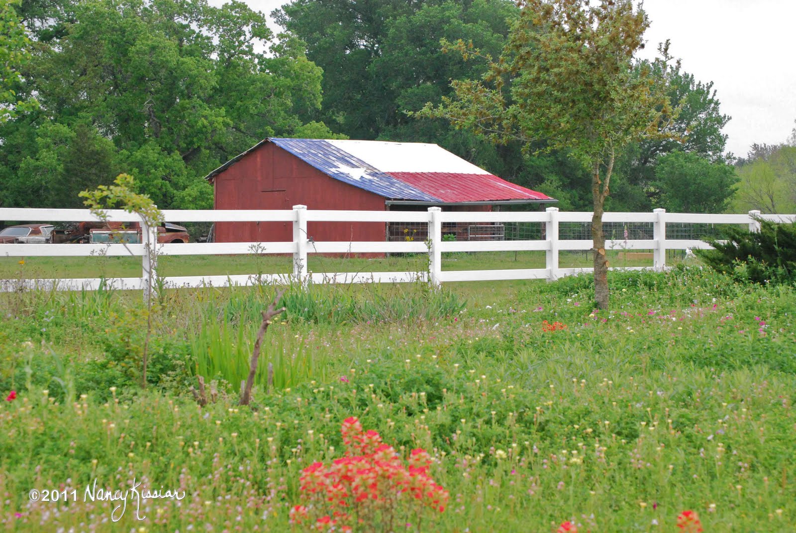 Wild About Texas I Love Texas...The Lone Star Flag Tribute