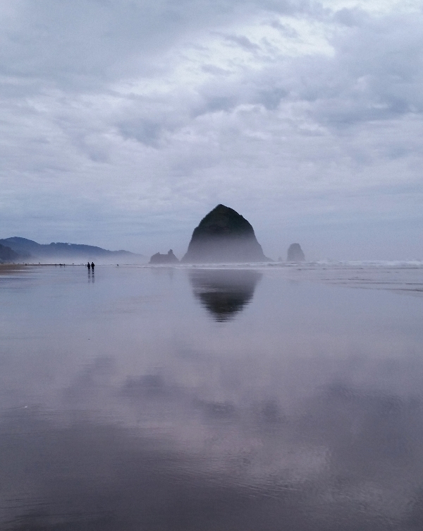 In The Writer S Closet Cannon Beach Oregon Ocean Muffins And Puffins