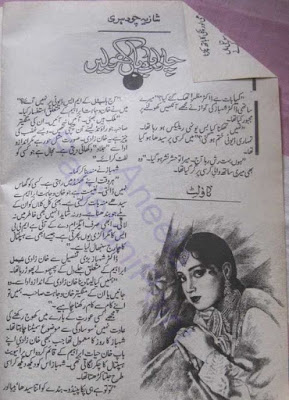 Free download Chalo badban kholen novel by Shazia Chaudhary pdf, online reading.