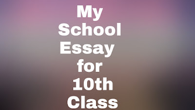 my city essay for class 10