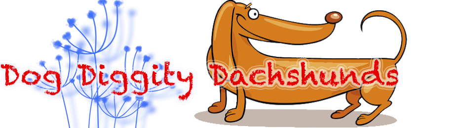 Dog Diggity Dachshunds