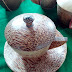 Cangkir kayu kelapa Paket 3 set by KAYU LANGKA CRAFT