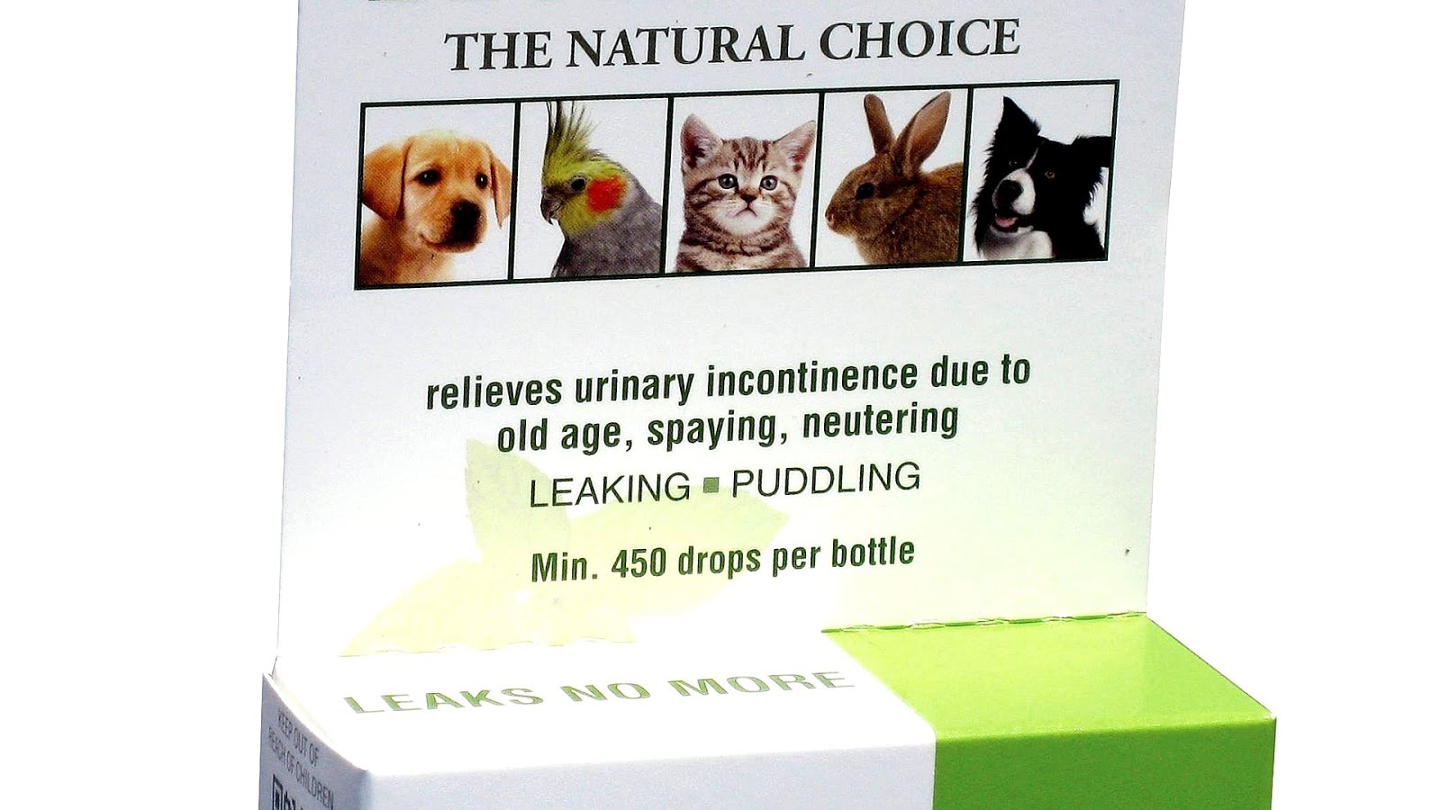 Female Dog Leaks Urine Dog Choices