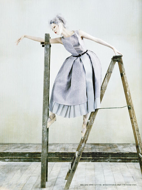 elegant Dior dress ladder magazine photoshoot