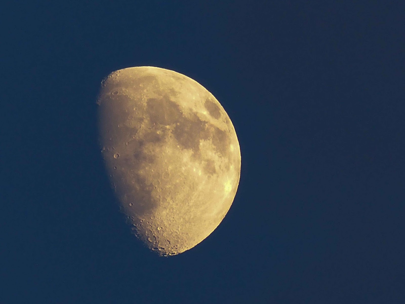 Gale's Photo and Birding Blog Waxing Gibbous Moon