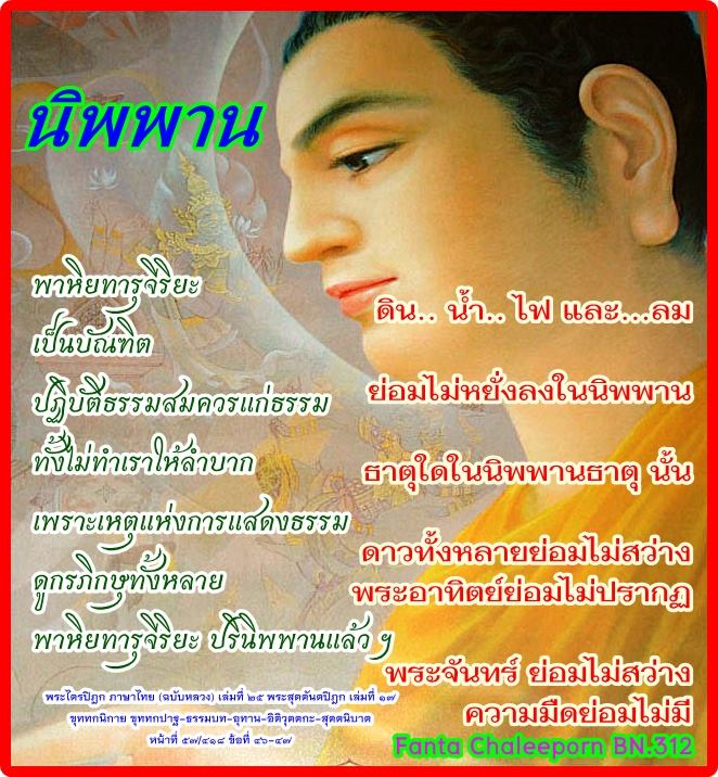 My Image 46