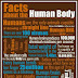 Facts about the human body