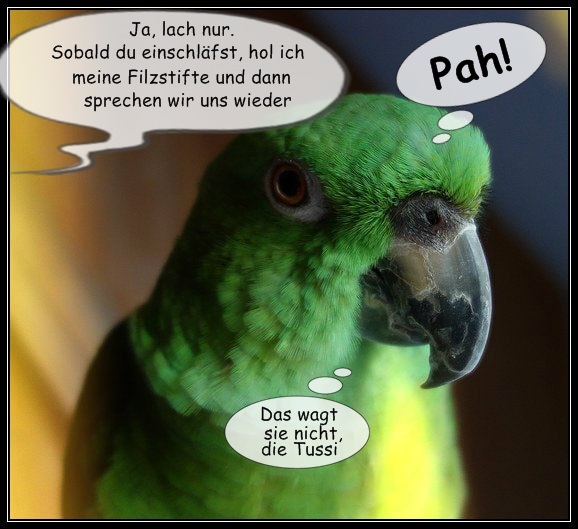 Max Papageiengeschichten 2016