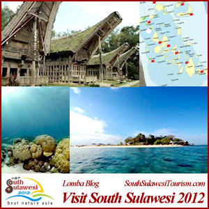 Visit South-Sulawesi 2012
