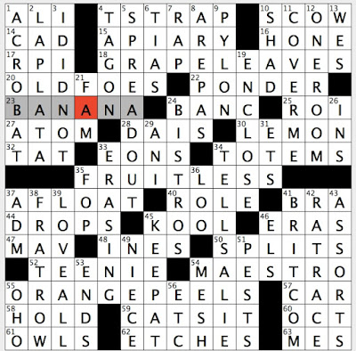 Crocus Cousin Crossword Puzzle Clue Crossword Santo