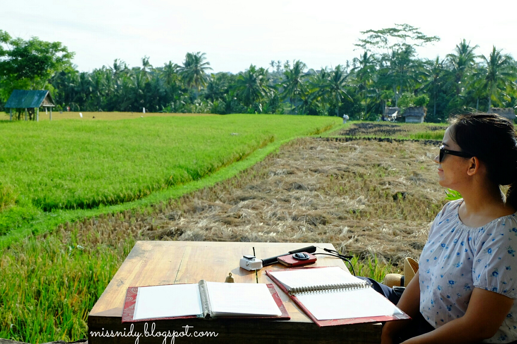 top things to do in ubud bali