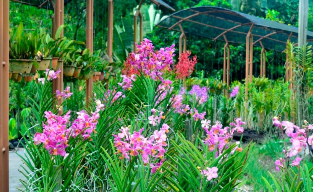 10 Tempat Wisata di Kuching Paling Terkenal Warga Negara Indonesia