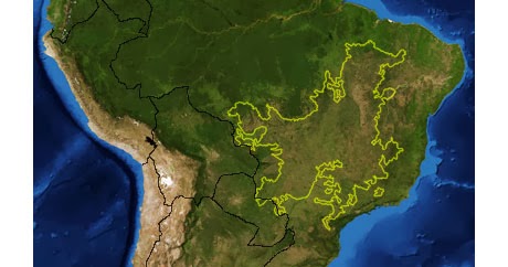 The Tropical Savanna in Brazil (The Cerrado): Maps