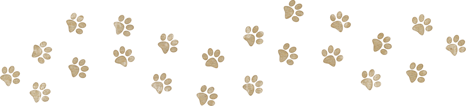 Eso Cats Paw Billion Pixels Eso Cats Paw Billion Pixels