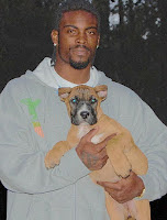 Michael Vick and Dogs