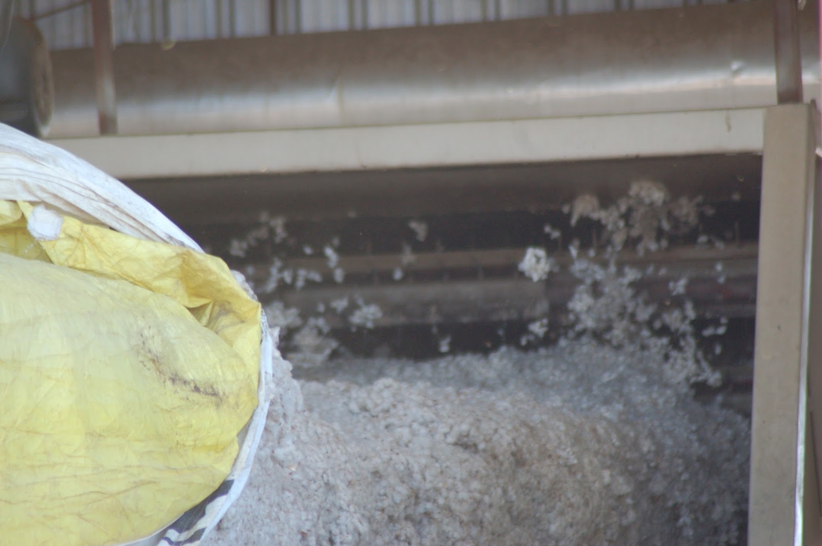 Sustainable Ag A View from the Field Cleaning Cotton Takes a Lot of