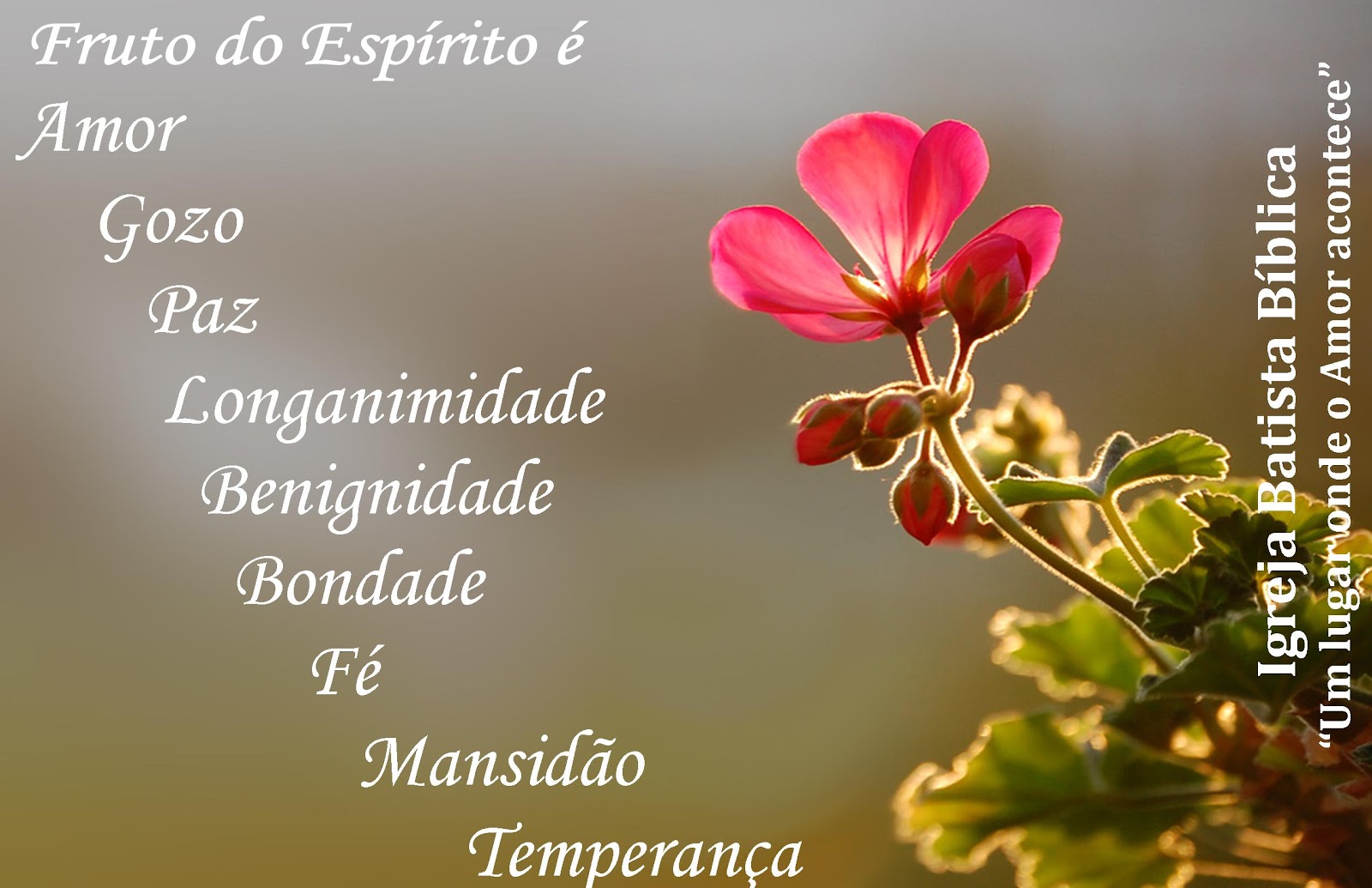 Igreja Batista Bíblica: Frase para reflexão