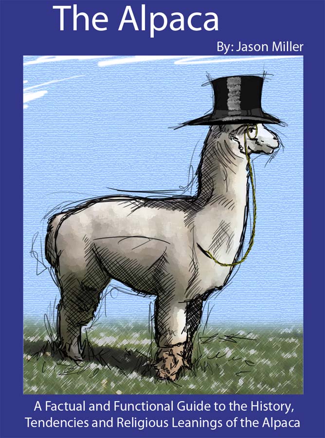 Jason Miller's Portfolio