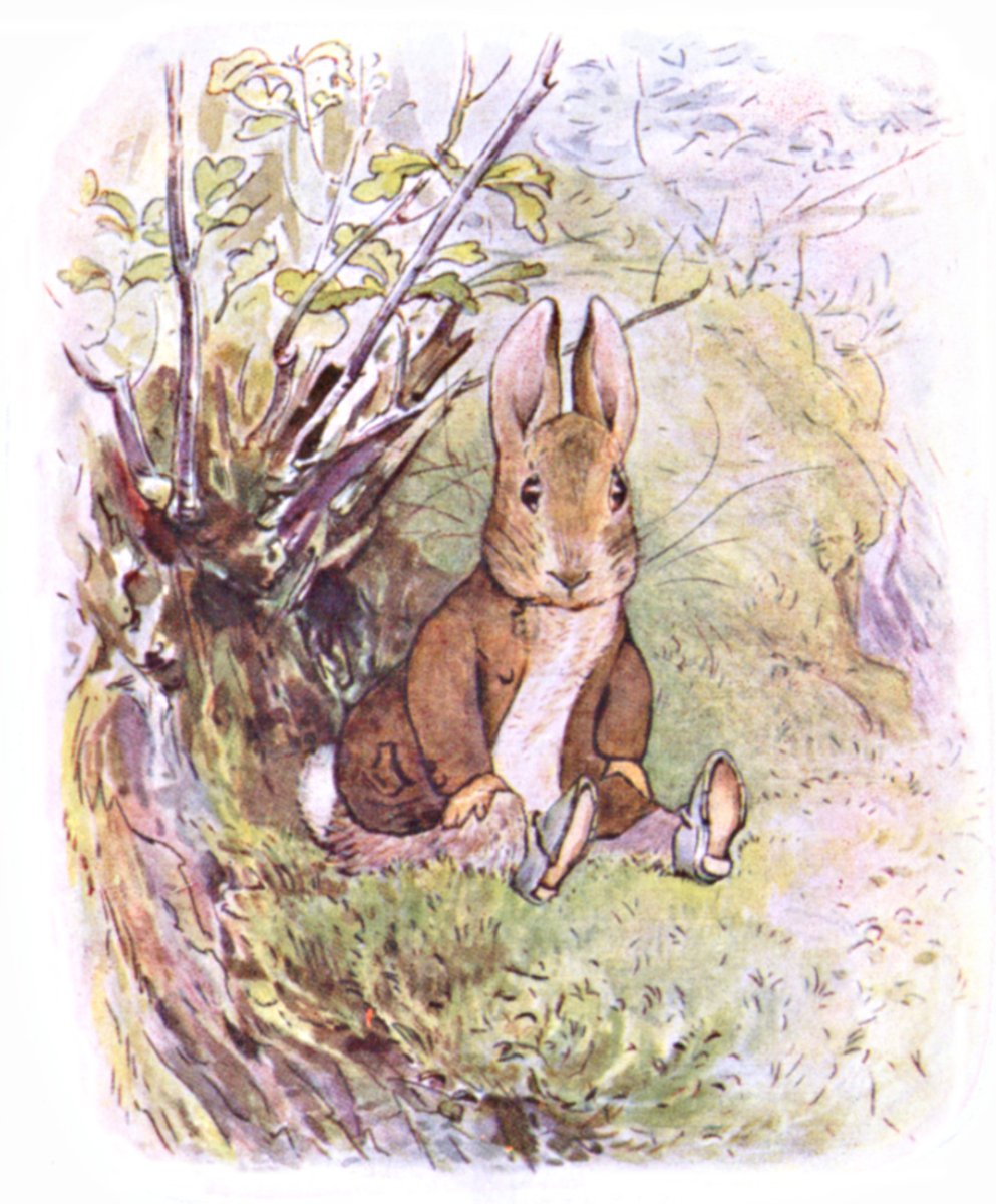 Free Vintage Rabbit Images
