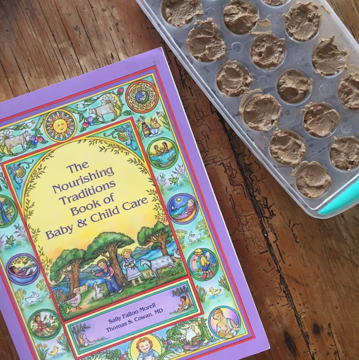 the nourishing traditions of baby and child care