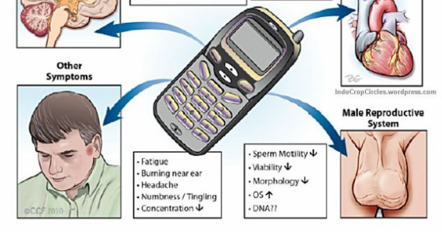 Makalah Pengaruh Radiasi Handphone Terhadap Kesehatan 