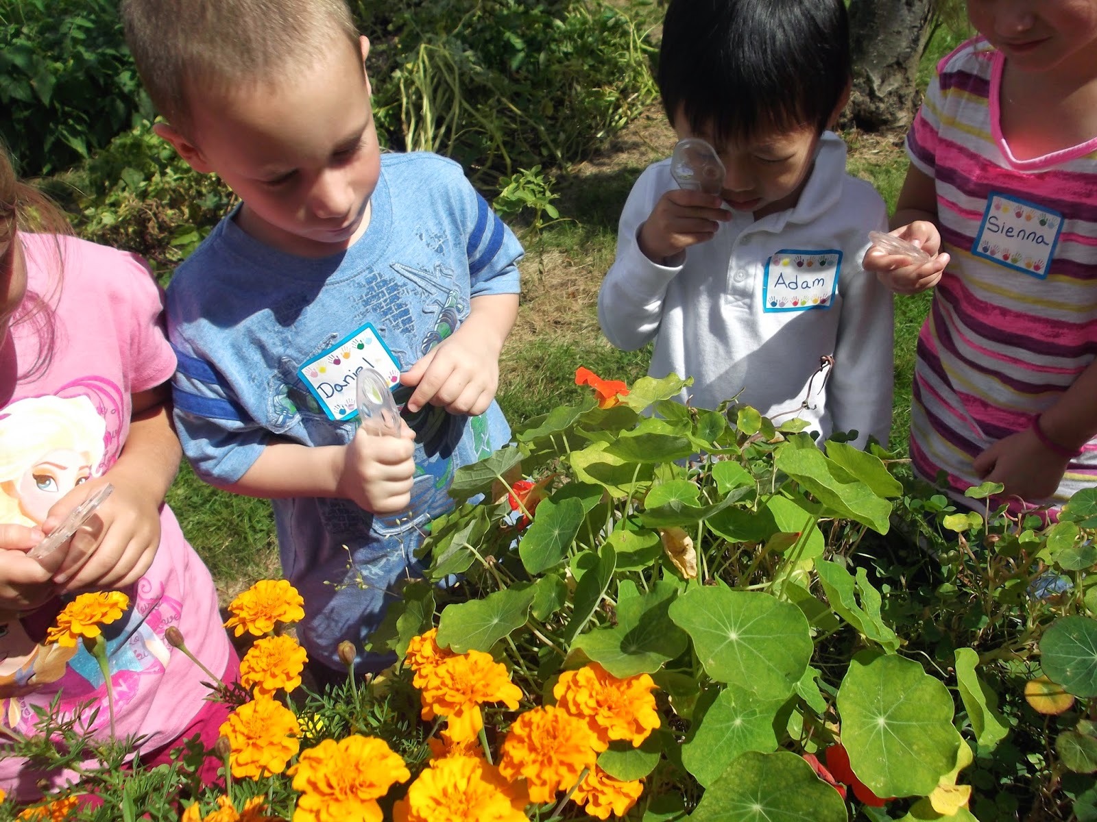 Peek At My Week The Science School Yard