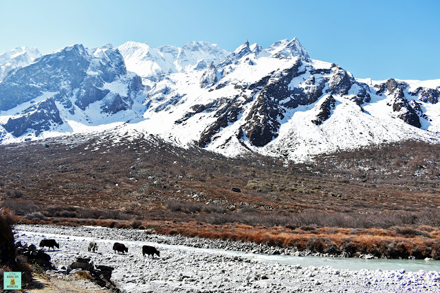 Trekking Valle Langtang, Nepal