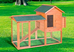chicken coops coop