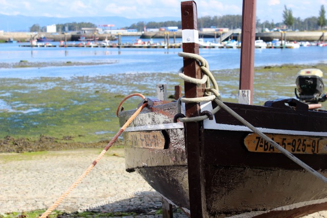 cambados-barca-pescadores-martin-codax.jpg