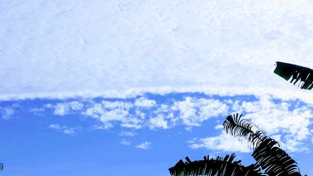 Foto Langit biru, awan putih dan hijau daun pisang
