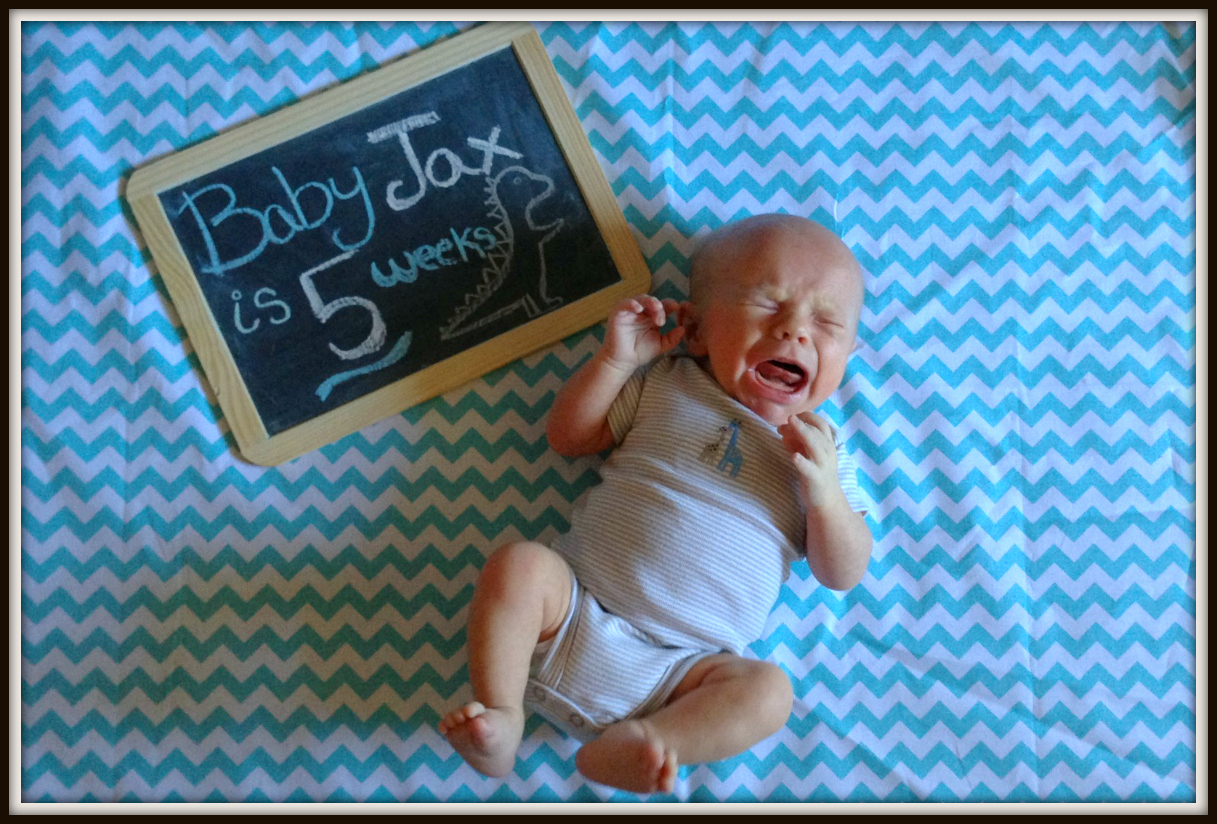 Us + Two 5 Weeks Old.