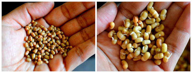 Sprouted Matki Sabzi/Moth Beans Sabzi