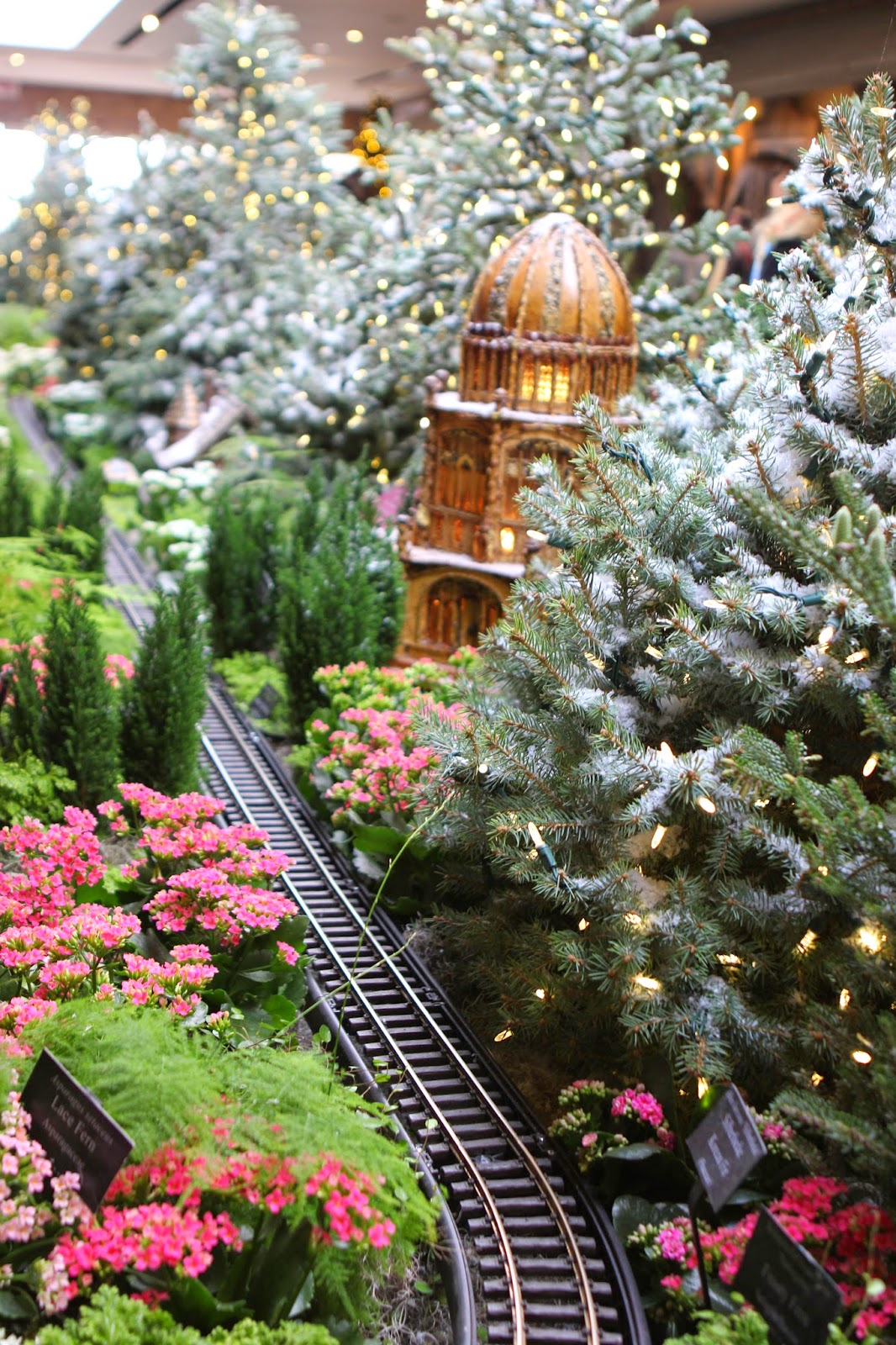 Romancing the Home Chicago Botanic Gardens Winter Wonderland