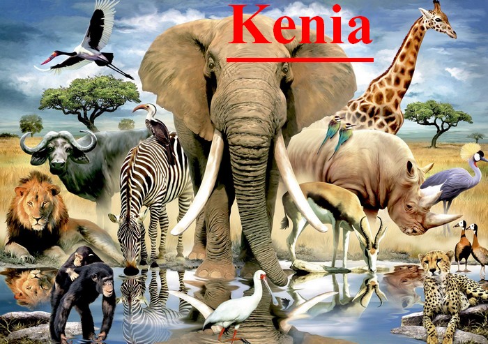Znalezione obrazy dla zapytania: zwierzęta kenii
