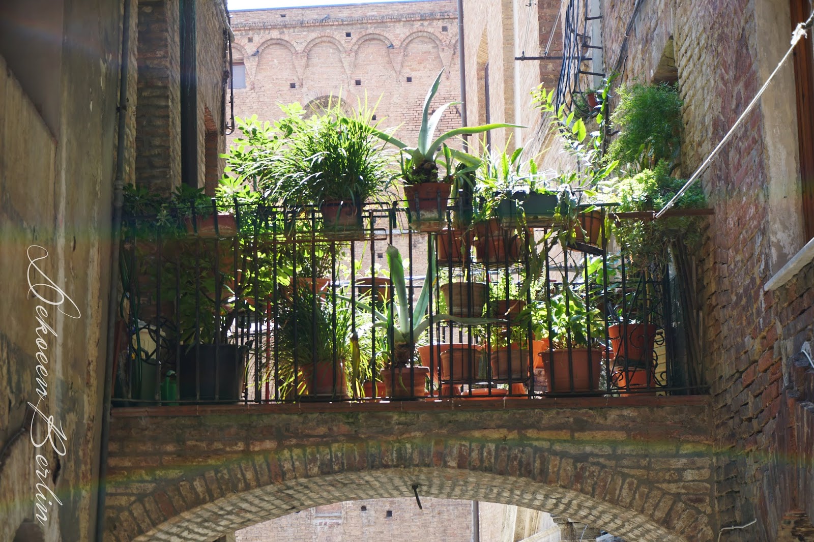 Dekoreenberlin Was Harry Potter Mit Der Toskana Zu Schaffen Hat