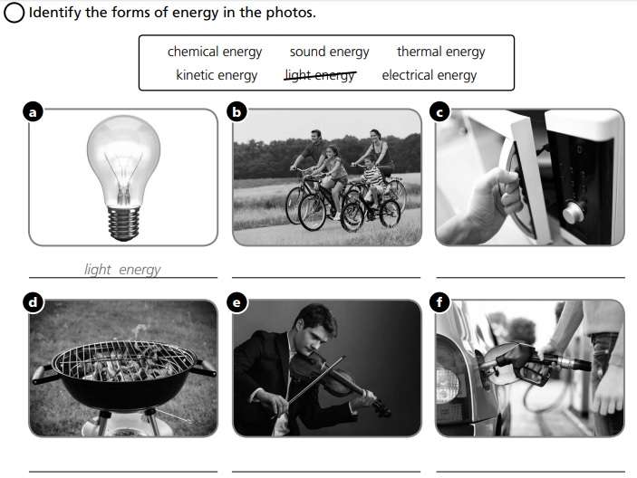 Social / Natural Science Year 4: Activity