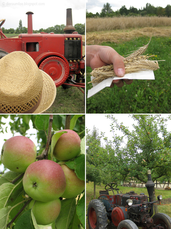 Raumfee Immer Wieder Sonntags