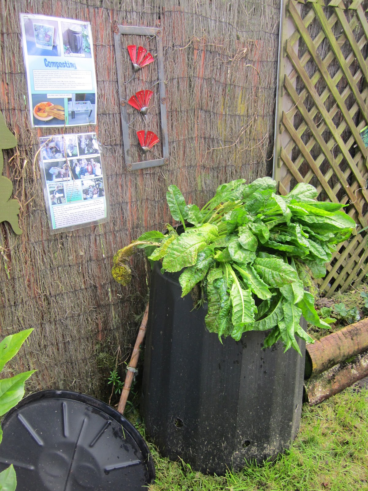 Bayview's Views: Planting Spinach