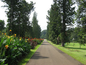 7 Most Famous Botanical Gardens Around the World 7 Most Famous Botanical Gardens Around the World