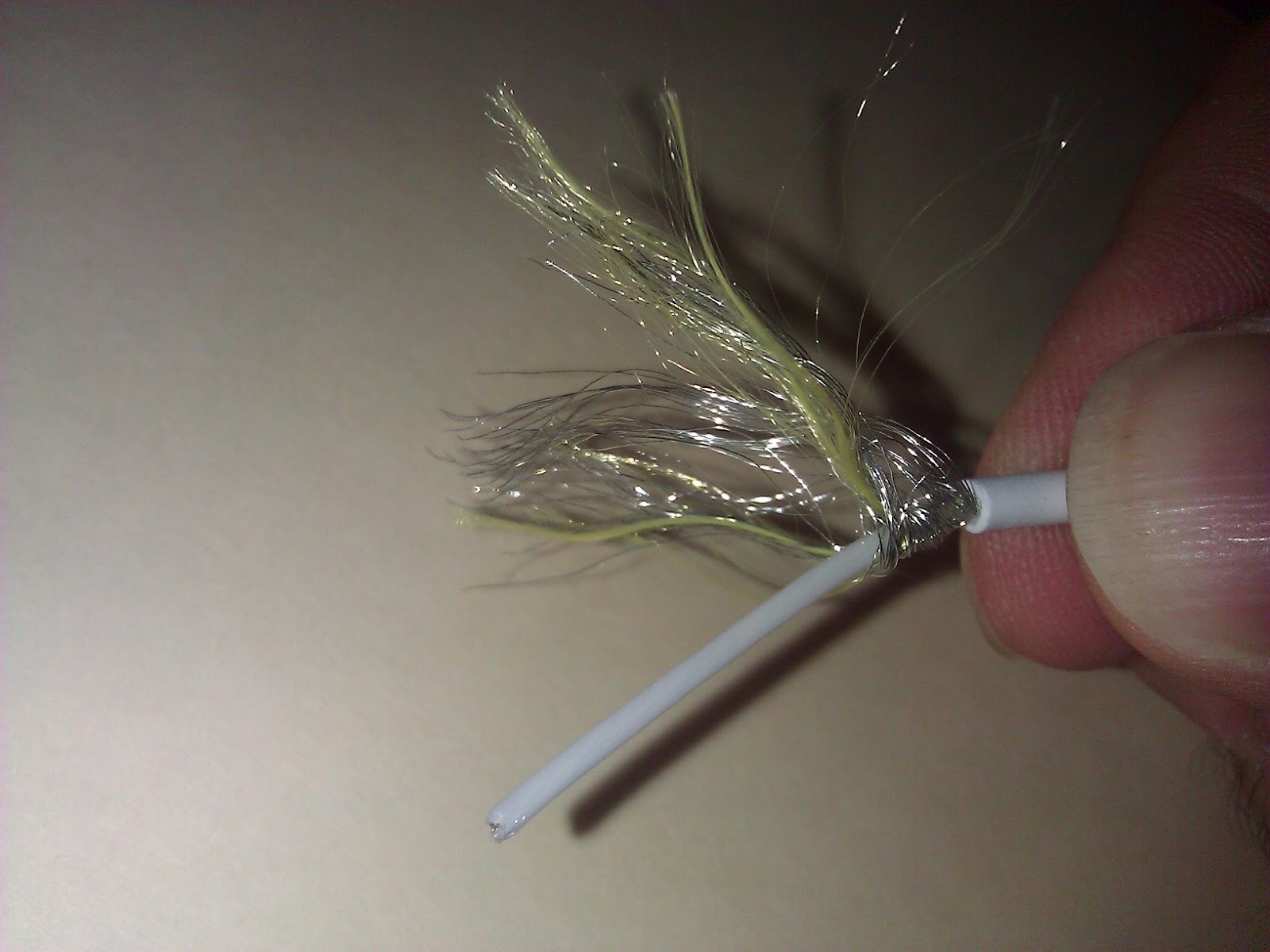 Cat Chewed MacBook Power Cord