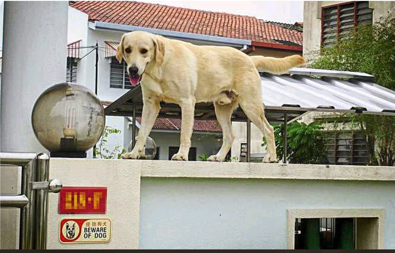 Rightways Burglarproof your home