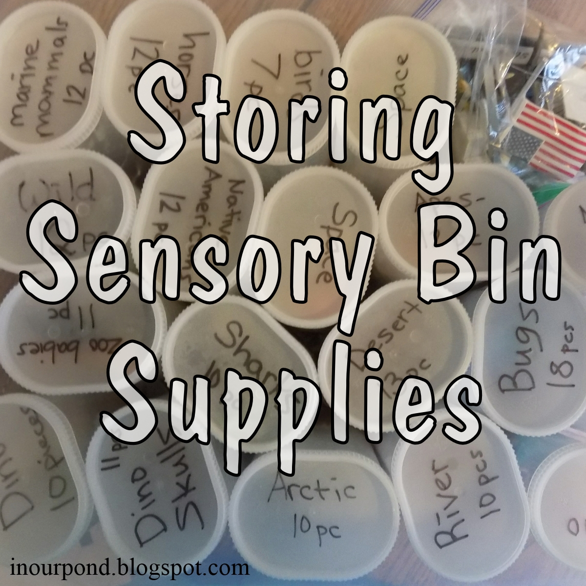 Sensory Bins Organization