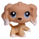 Littlest Pet Shop Large Playset Spaniel (#568) Pet Littlest Pet Shop Large Playset Spaniel (#568) Pet