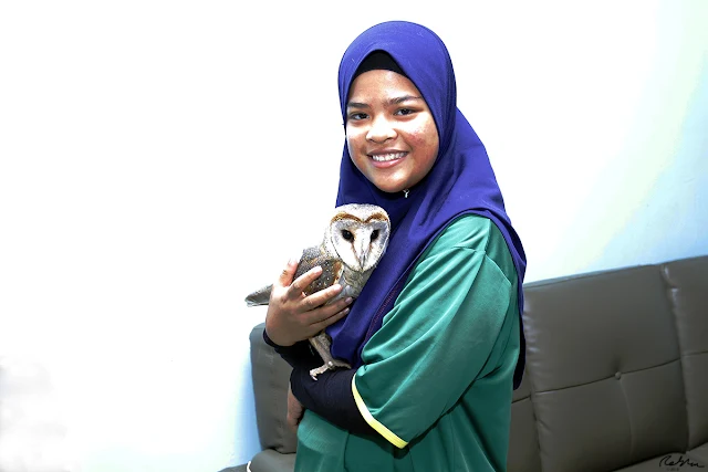 Barn Owl as Pet