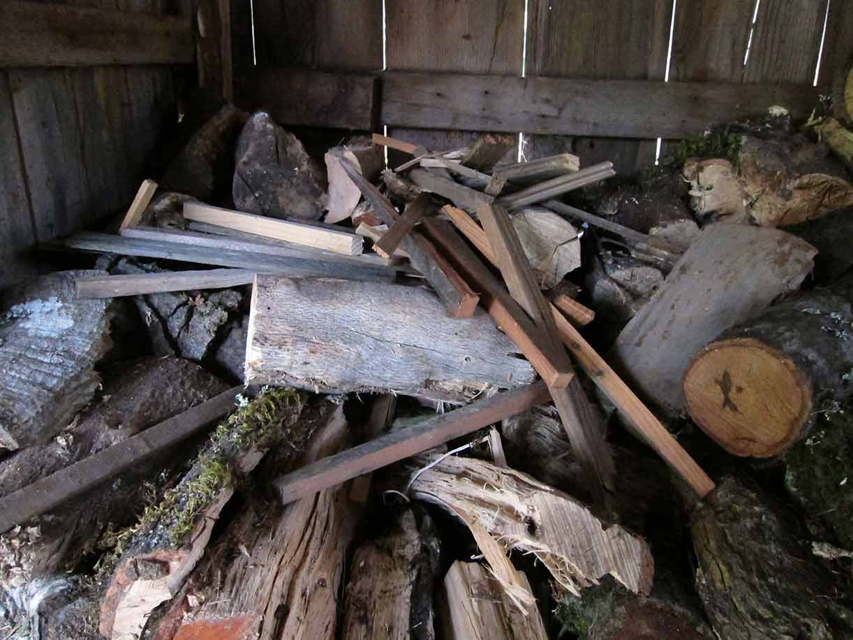 Pack Rats in the Woodpile Lloyd's Blog