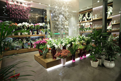 Flower shop online Hanoi, Vietnam