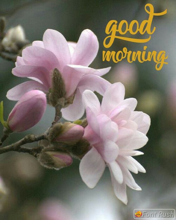 love couple images with hindi shayari